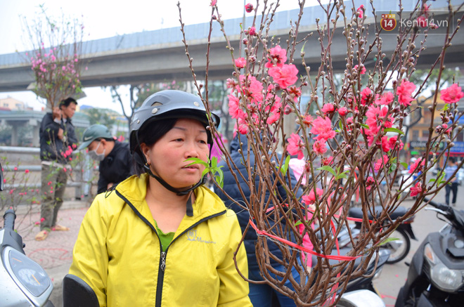 Người mua hoa lý giải việc phải chờ đến ngày 29, 30 Tết: Cũng vì nhiều người bán hét giá cao quá!